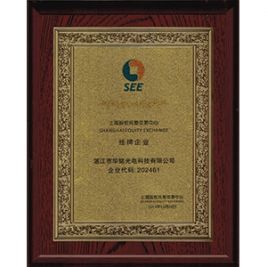 Huaming Zhanxing Listed Brand
